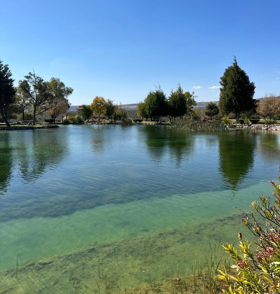 Paisajismo con lagos artificiales en desarrollo inmobiliario de lujo